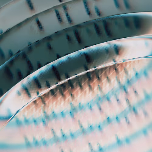 Blind Spots By Shaderism