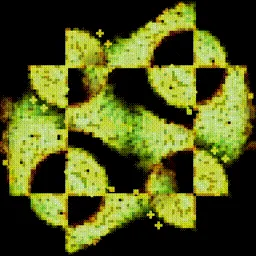 Item #395000198 Media