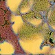 472000173