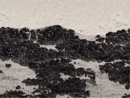 Item #476000018 Media