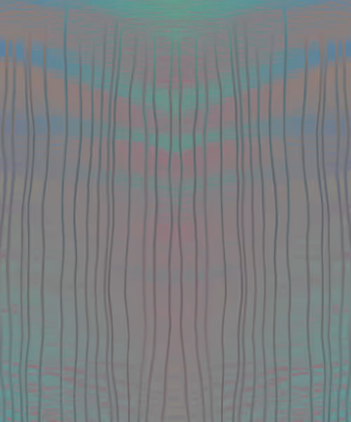 Item #405000020 Media