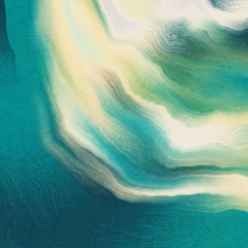 Item #479000194 Media