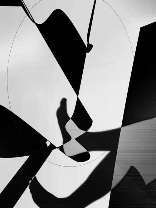 Item #455000261 Media