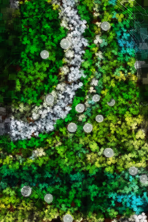 Item #478000009 Media