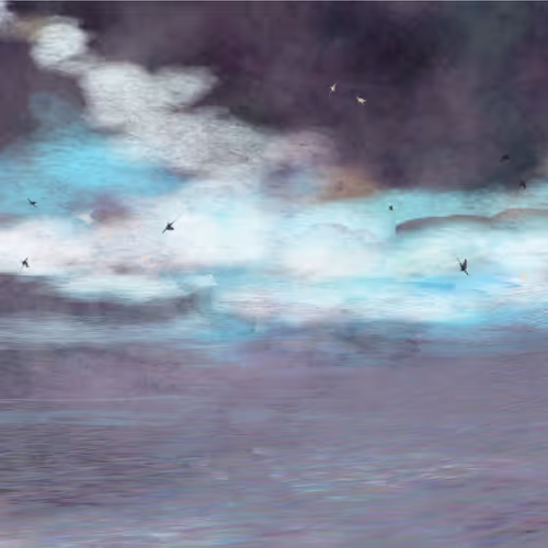 Seasky By Ralgo