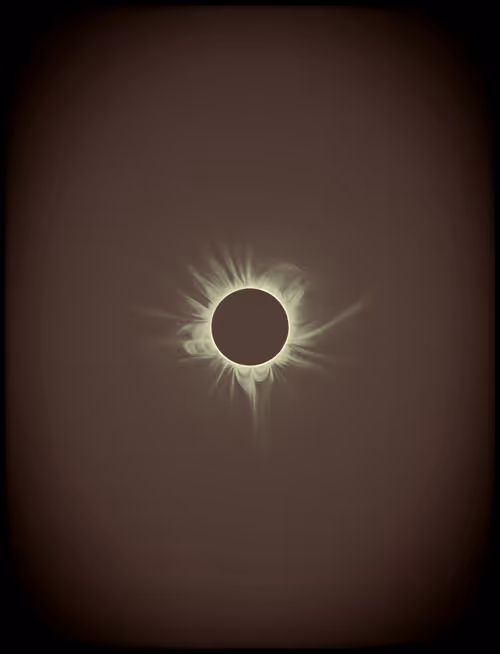 Item #423000200 Media