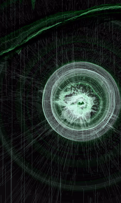 Item #404000037 Media