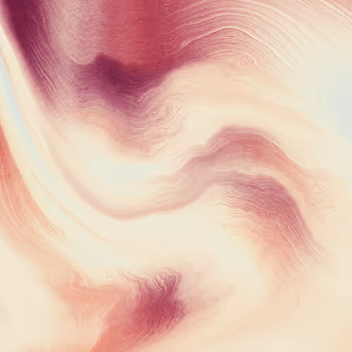 Item #479000050 Media