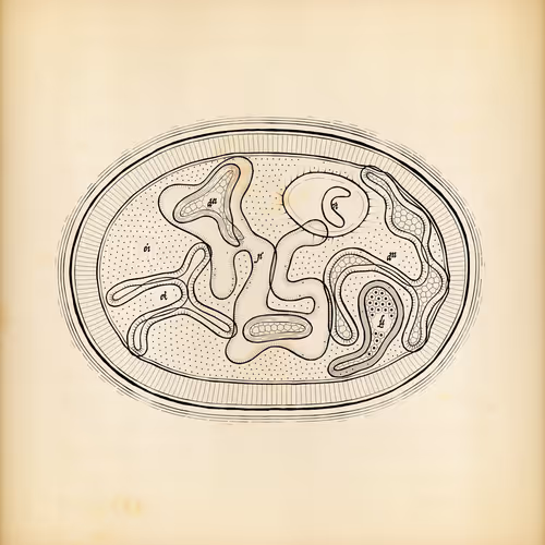 Item #487000181 Media