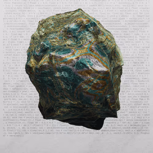 This Is Not A Rock By Nicole Vella