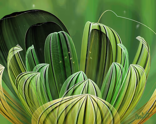 Item #378000088 Media