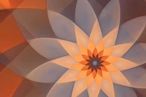 Item #394000105 Media