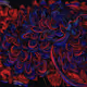 456000365