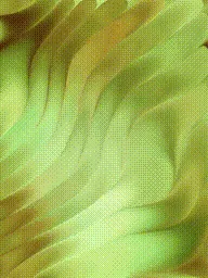 Item #399000008 Media