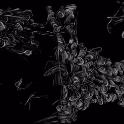 Spaghetti Bones #340