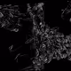 Spaghetti Bones #340