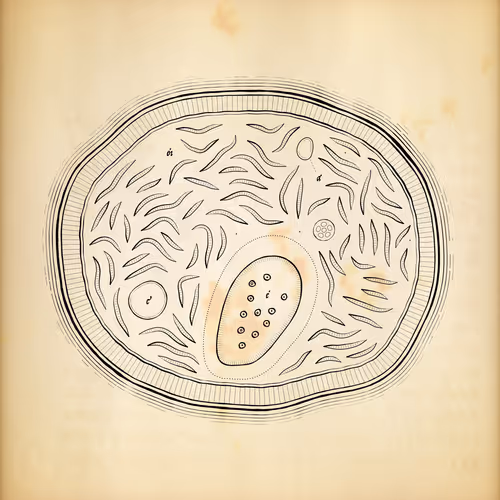Cytographia #357