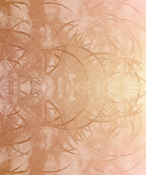 Item #405000083 Media