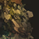 458000055