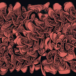 Spaghetti Bones #203