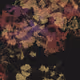 458000042