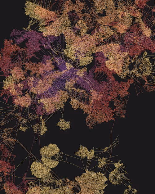 Item #458000042 Media