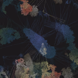 Mycelia #98