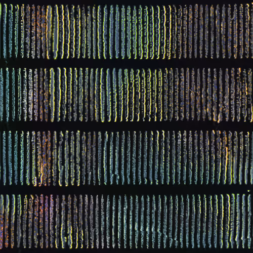 Item #416000143 Media