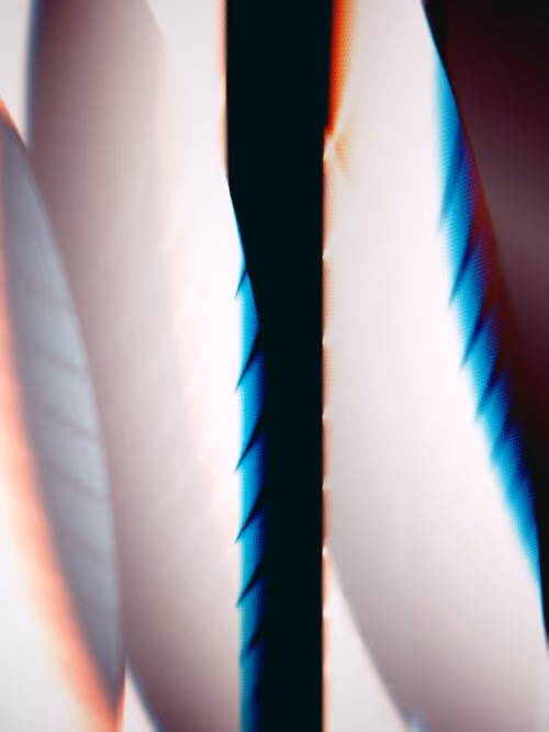 Item #484000292 Media