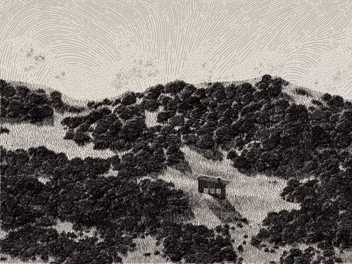 Item #476000048 Media