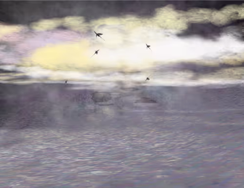 Item #459000063 Media