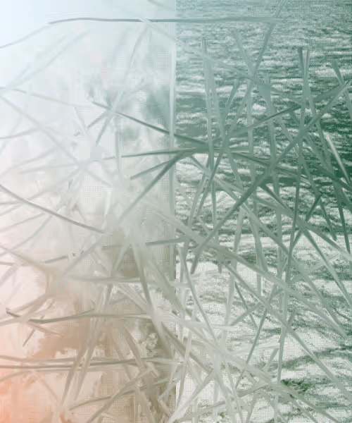 Item #405000139 Media