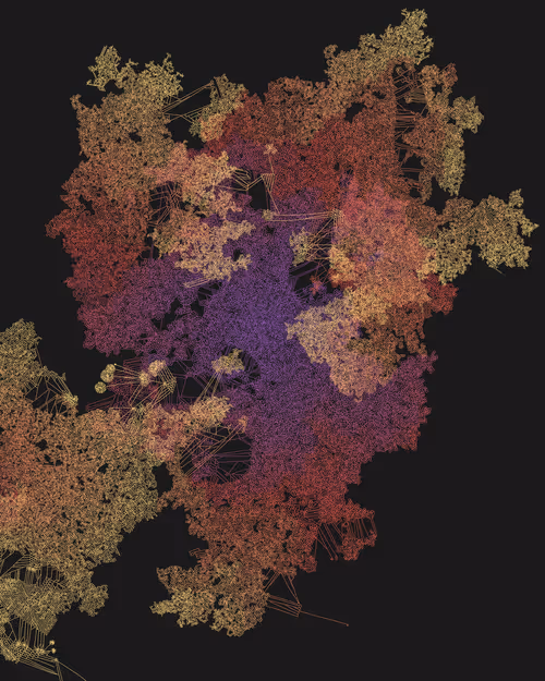 Item #458000191 Media