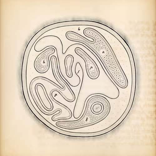 Item #487000290 Media