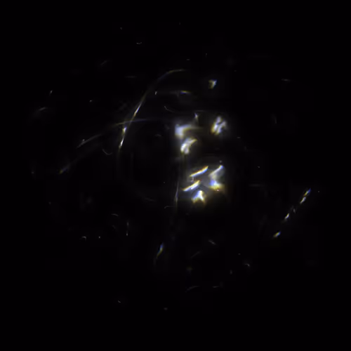 Item #424000143 Media