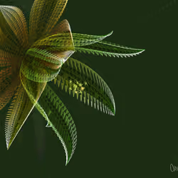 Fleur #3