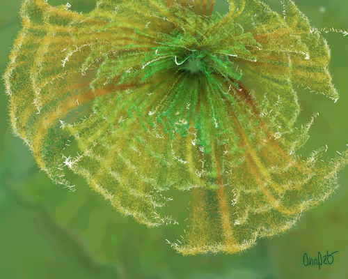 Item #378000114 Media