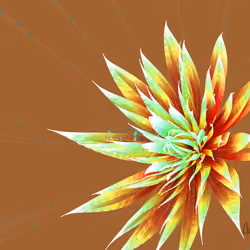 Fleur #144