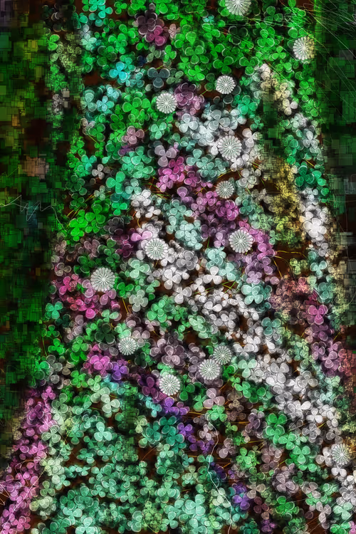 Item #478000011 Media