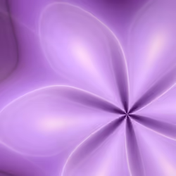 Volute #132