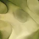 399000116