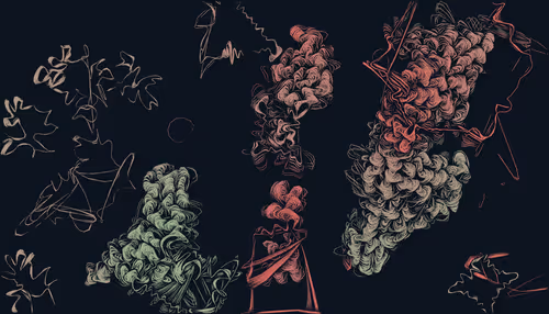 Item #456000488 Media