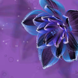Fleur #78
