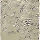 421000061