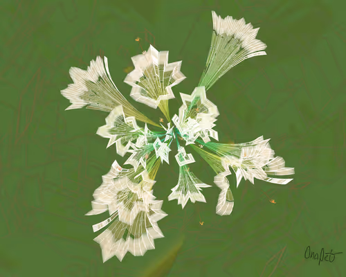 Item #378000249 Media