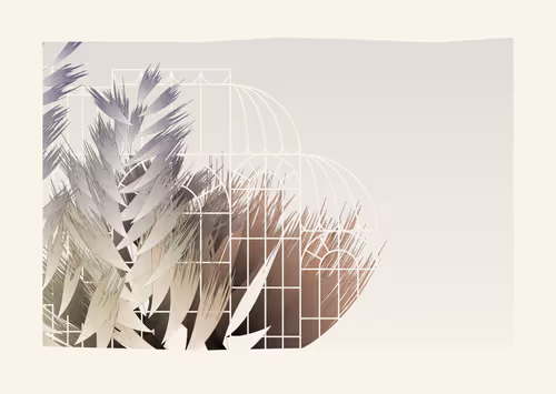 Item #467000006 Media