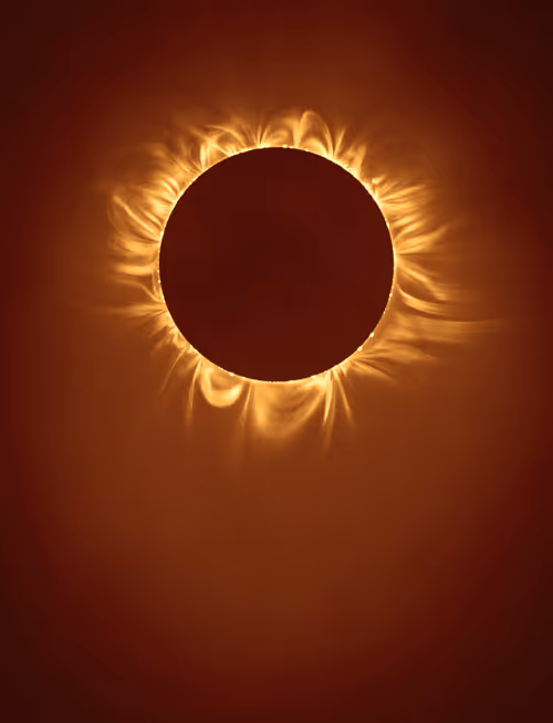 Item #423000173 Media