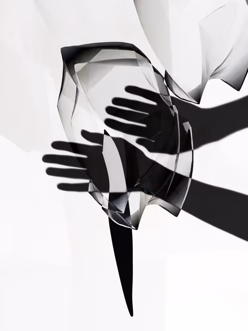 Item #455000363 Media