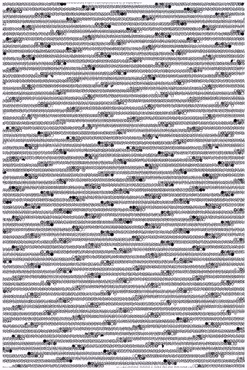 Item #425000038 Media