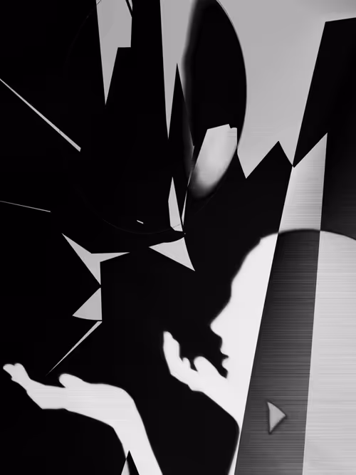 Item #455000298 Media